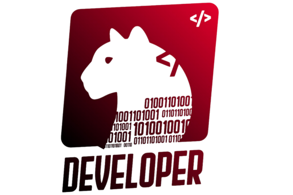 Servicios Developer by Linatrader